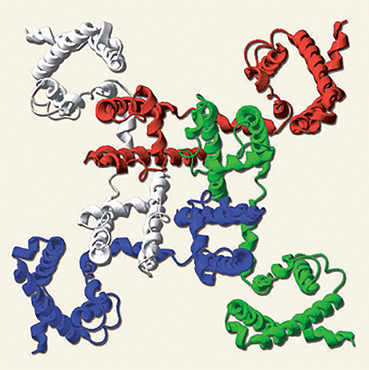 О чем не знал Гальвани: пространственная структура натриевого канала