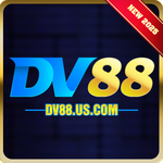 dv88us com
