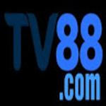 TV 88