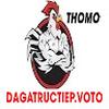 ĐÁ GÀ TRỰC TIẾP VOTO