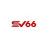 SV66 today