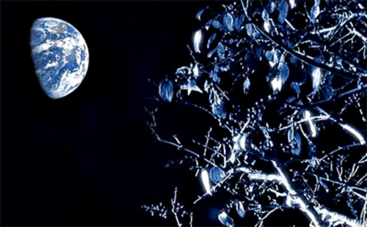 Растения в космосе: инструкция по применению