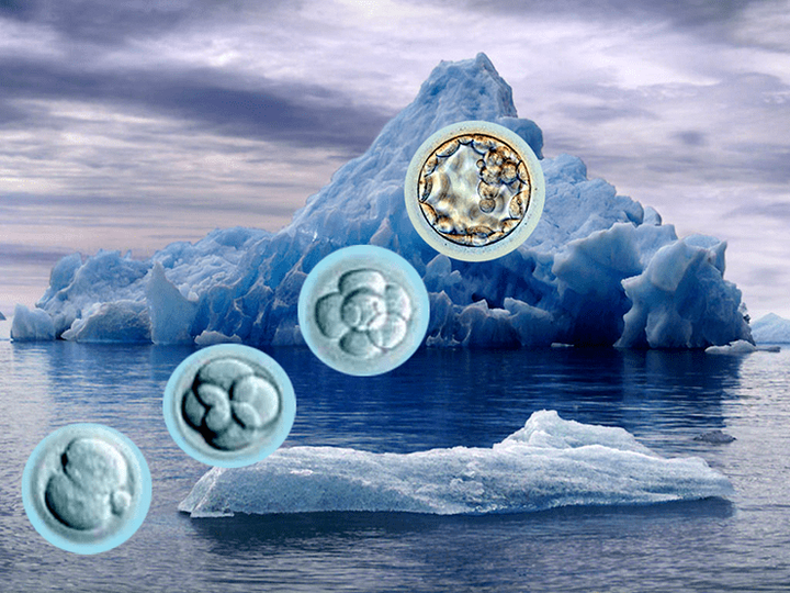 Витрификация — контролируемая пауза развития в стеклоподобном состоянии