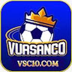 Vsc10 com