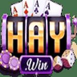 HAYWIN