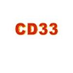 cd33 com