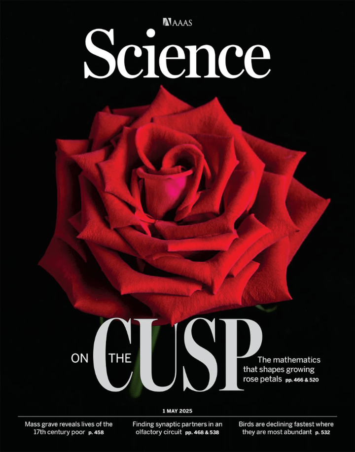 SciNat за май 2025 #1: грибной метаболит для защиты печени, редактирование белков и фото «татуированной» тихоходки