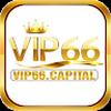 vip66 capital