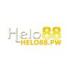 Helo 88