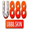 U888 skin