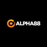 Alpha88thcom Alpha88thcom