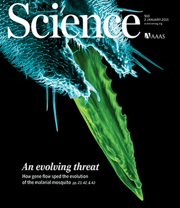 Science #347(6217): Коварство и любовь холерных вибрионов и генетическая история малярии
