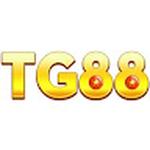 tg888co com
