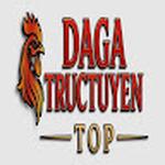 dagatructuyen