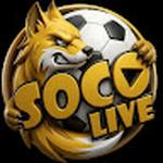SOCOLIVE Trực tiếp bóng đá