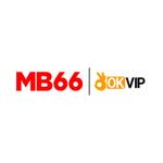 MB6699 Net