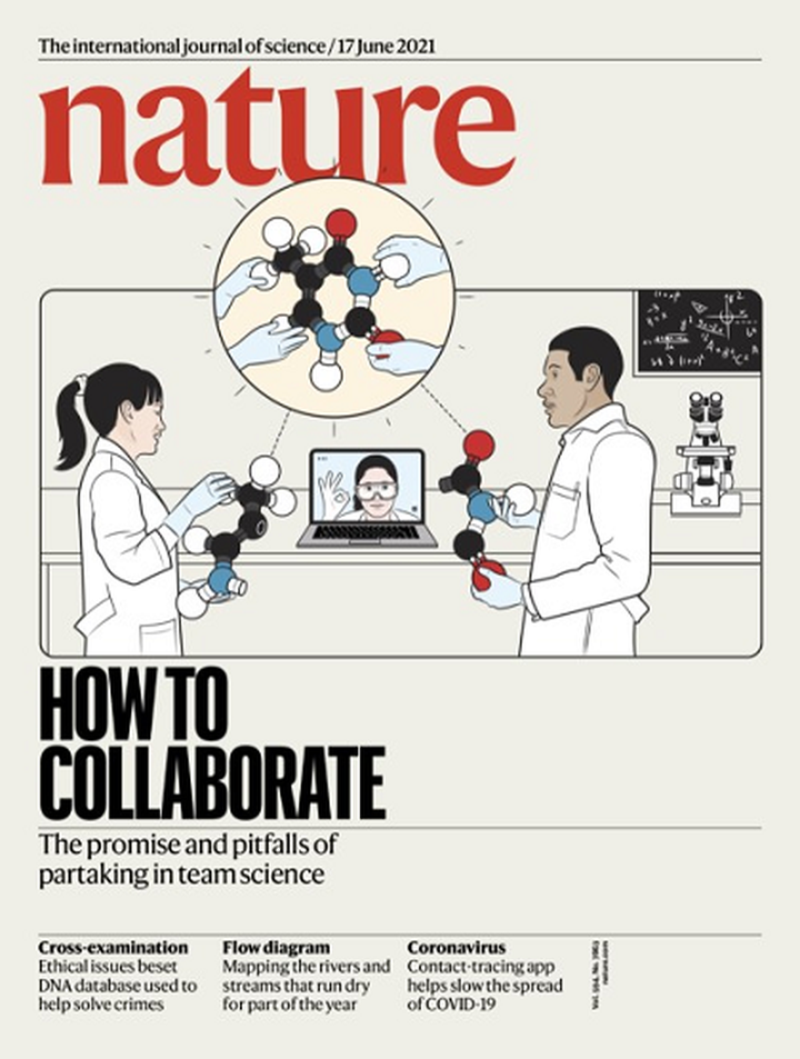 SciNat за июнь 2021 #3: нанокластеры для самосборки спиральных структур, «роящееся» поведение нейтрофилов и эхолокация у древесных мышей