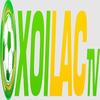 percyjacksonthemovie.com  die