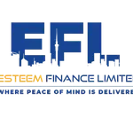 esteem finance