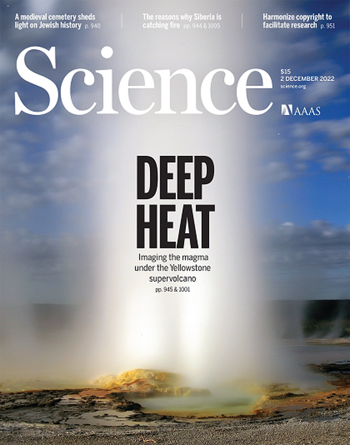 SciNat за декабрь 2022 #1: похищение CRISPR фагами, муравьиное молоко и эволюционная история птиц