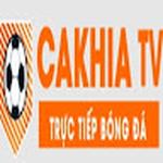 bickellfoundation org lừa đảo