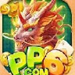 pp6 uk