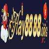 Hay 88