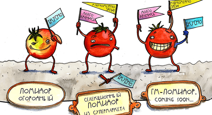 ГМО: бояться нельзя питаться. Биологи знают, где поставить запятую!