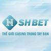 Shbet ad