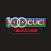 100cuci ink