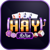 HAYWIN