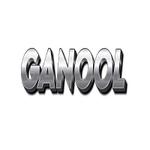 GAN OOL