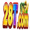 28t