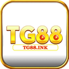 TG88 ink