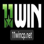 CEO Nguyễn Thành Nam