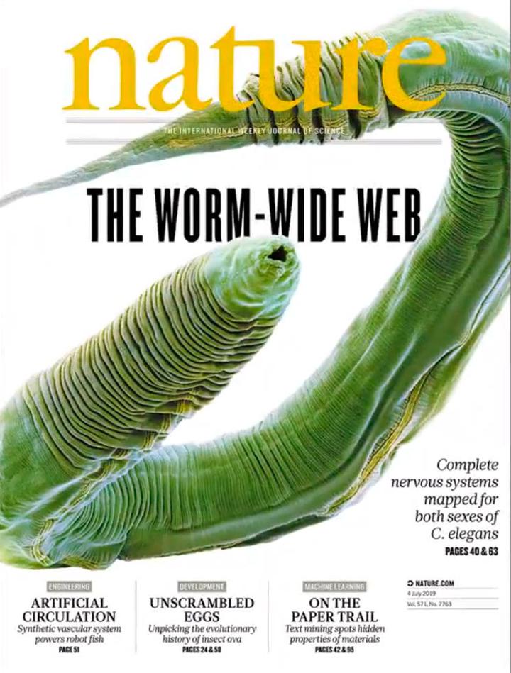 SciNat за июль 2019 #1: коннектом <em>Caenorhabditis elegans</em>, значение лесов в борьбе с изменениями климата и новости из вселенной CRISPR