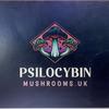 PSILOCYCIN MUSHROOM