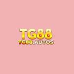 tg88 autos