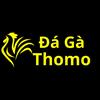 Đá Gà Thomo Trực Tiếp