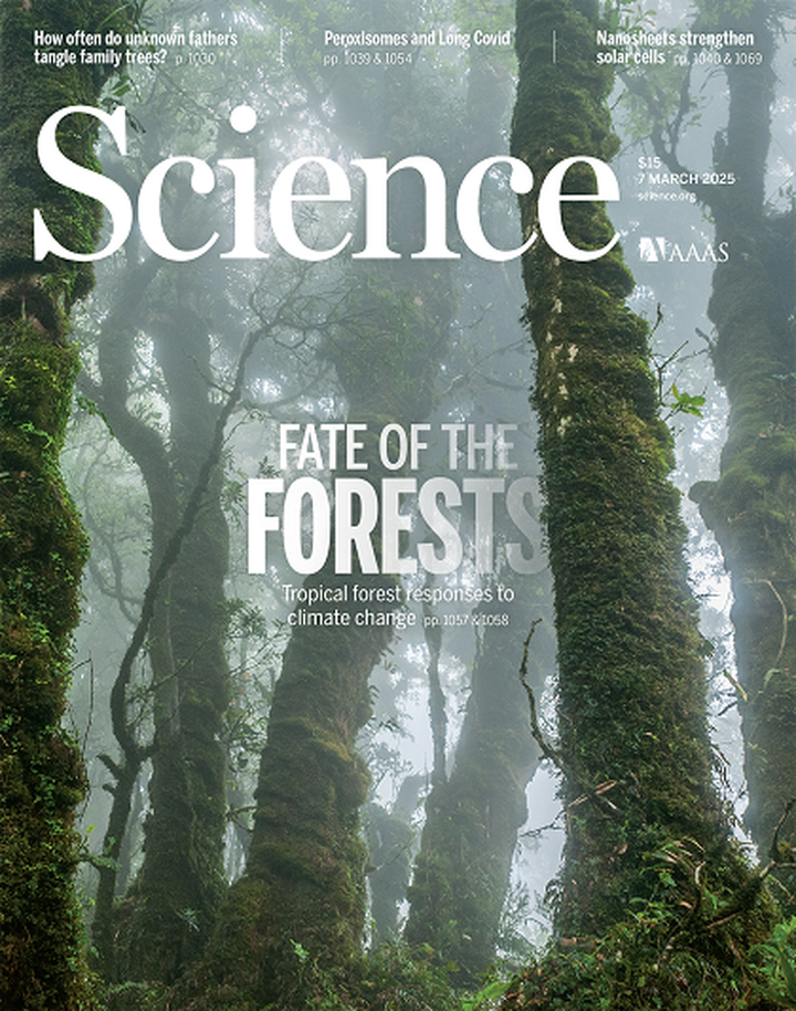 SciNat за март 2025 #2: хрящевые трансплантаты, новые препараты от депрессии, вакцина в таблетке и торговая сеть грибов