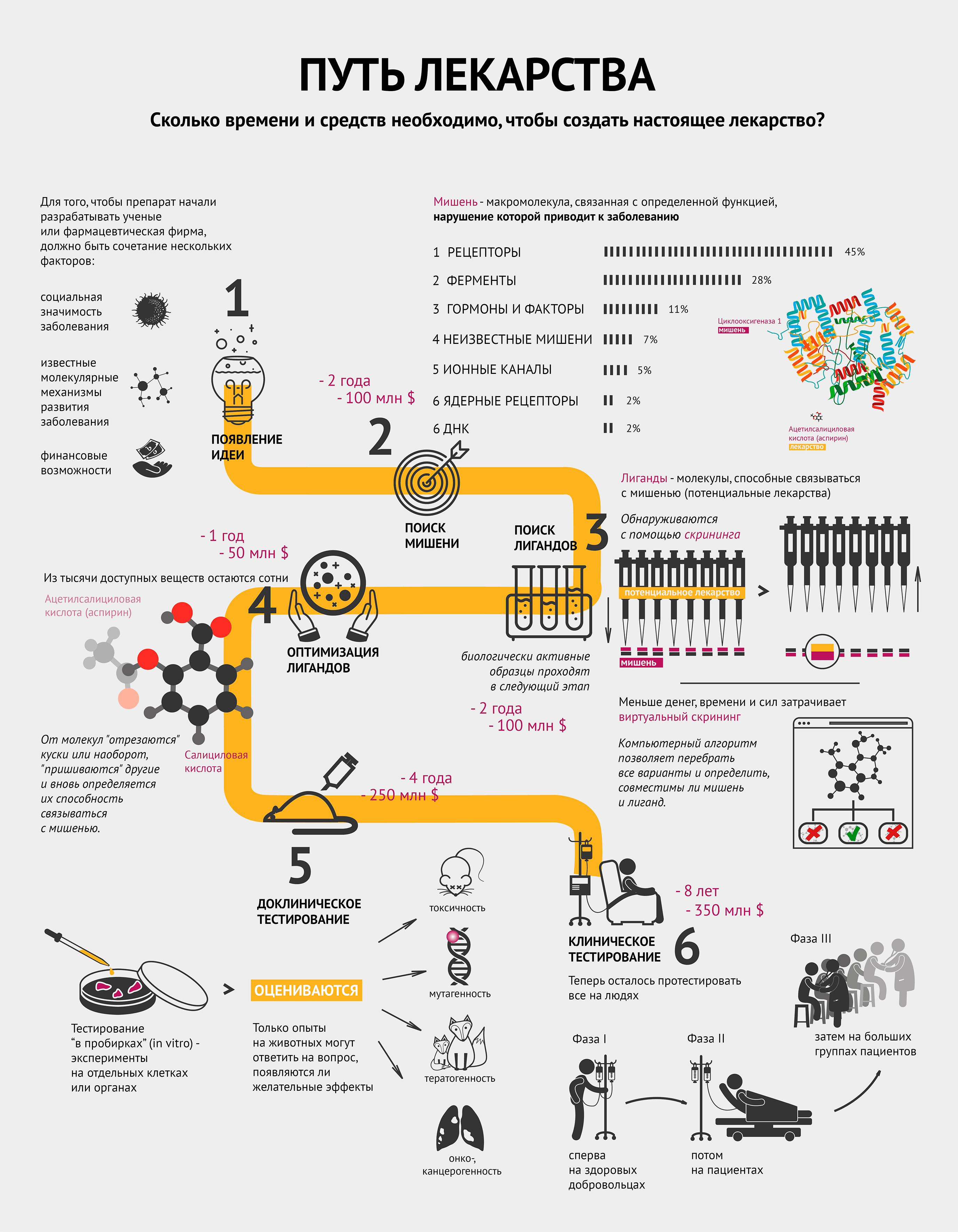 Путь лекарства (инфографика)