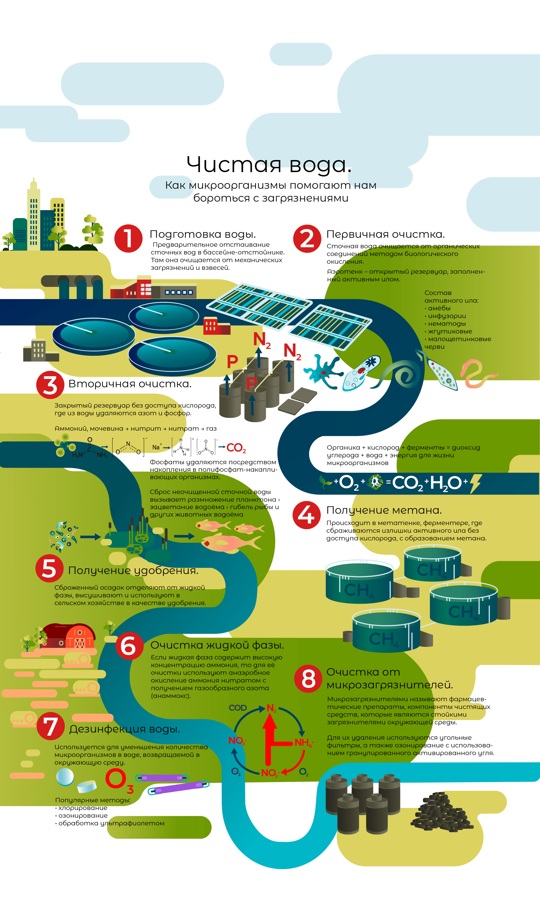 Чистая вода. Инфографика