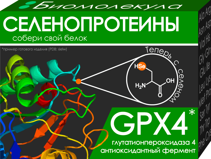 GPX4