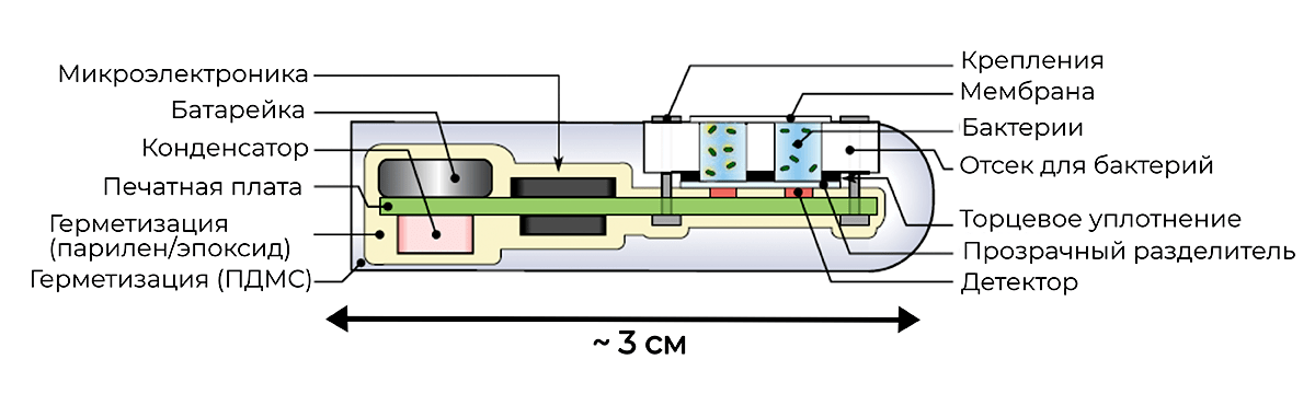 Схема устройства электронной капсулы