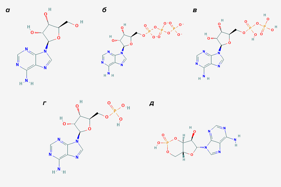Аденозин и его соединения