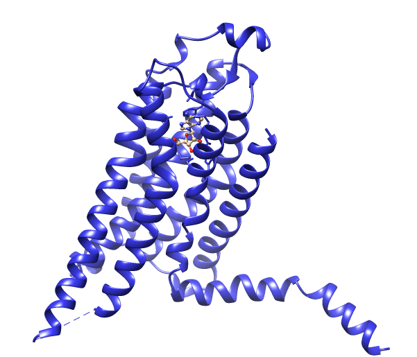 Структура GPCR на примере аденозинового рецептора