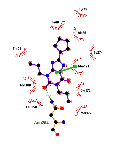 Связывание синтетических блокаторов с рецептором