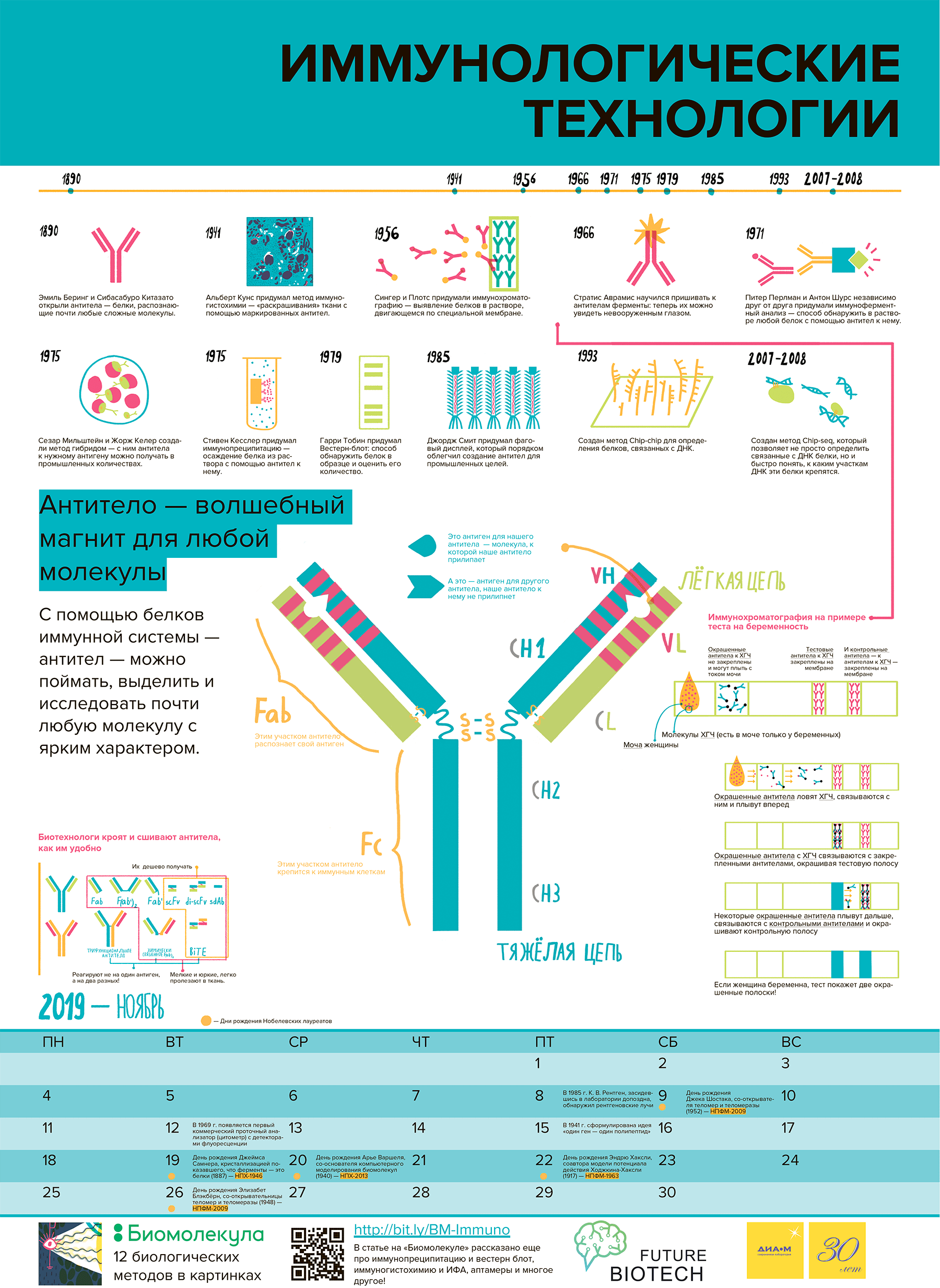 Календарь «12 методов биологии» на 2019 год, ноябрь