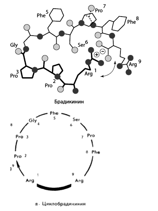 Fig.1.png