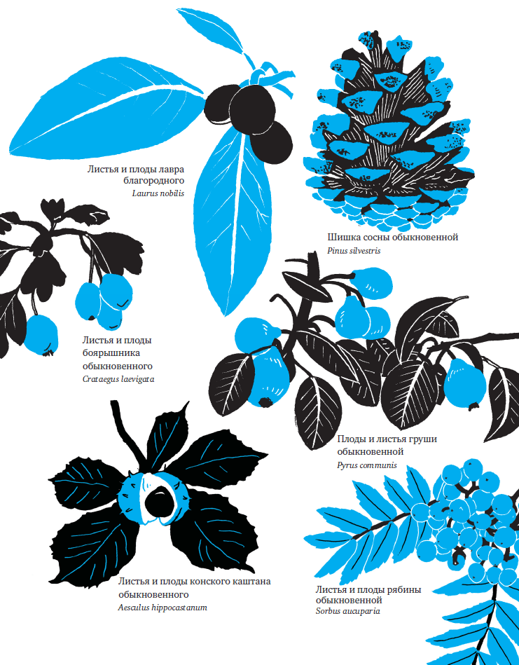 Fig.2.png